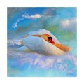 Trademark Fine Art Ata Alishahi 'Beautiful Swan 2A' Canvas Art, 24x24 ALI22339-C2424GG